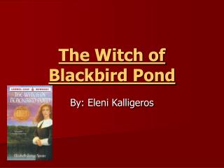 The Witch of Blackbird Pond