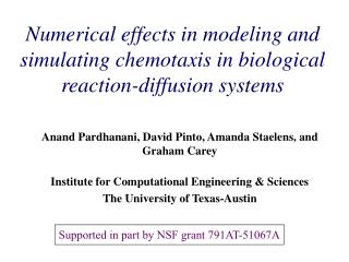 Numerical effects in modeling and simulating chemotaxis in biological reaction-diffusion systems