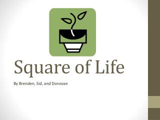 Square of Life