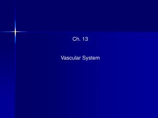 Ch. 13 Vascular System