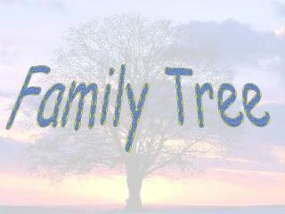 Family Tree