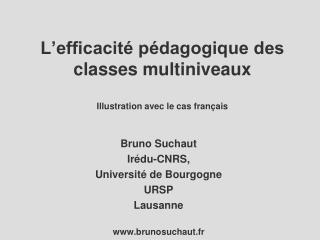 L’efficacité pédagogique des classes multiniveaux Illustration avec le cas français