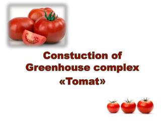 Constuction of Greenhouse complex « Tomat »