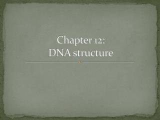 Chapter 12: DNA structure