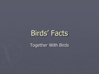 Birds’ Facts