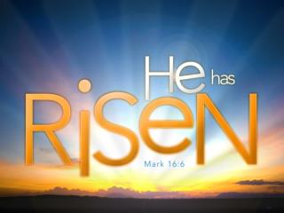 Mark 16:15 (ESV)