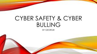 Cyber safety &amp; cyber bulling