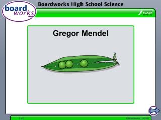 The life and work of Gregor Mendel