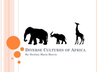 Diverse Cultures of Africa