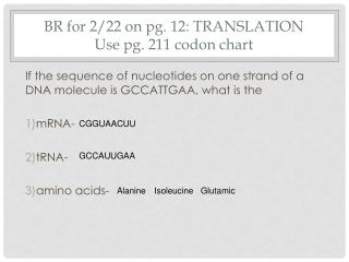 BR for 2/22 on pg. 12: TRANSLATION Use pg. 211 codon chart