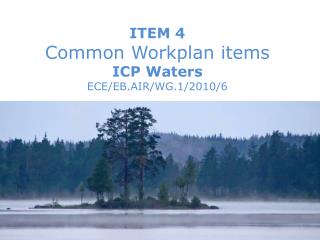 ITEM 4 Common Workplan items ICP Waters ECE/EB.AIR/WG.1/2010/6