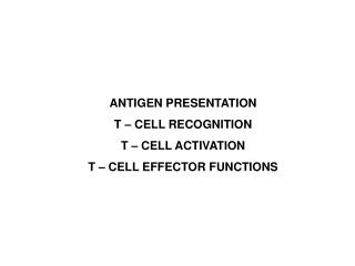 ANTIGEN PRESENTATION T – CELL RECOGNITION T – CELL ACTIVATION T – CELL EFFECTOR FUNCTIONS