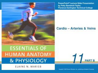 Cardio – Arteries &amp; Veins