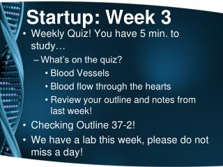 Startup: Week 3