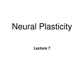 Neural Plasticity