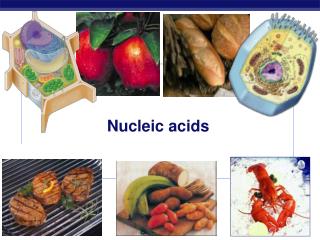 Nucleic acids