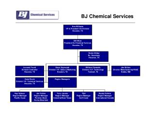 BJ Chemical Services