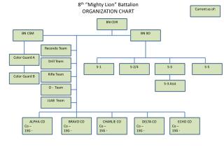 8 th “Mighty Lion” Battalion ORGANIZATION CHART