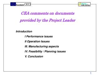 CEA comments on documents provided by the Project Leader