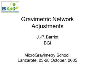 Gravimetric Network Adjustments
