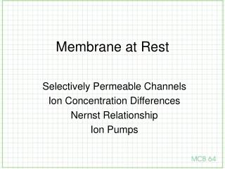 Membrane at Rest