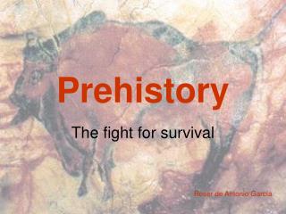 Prehistory