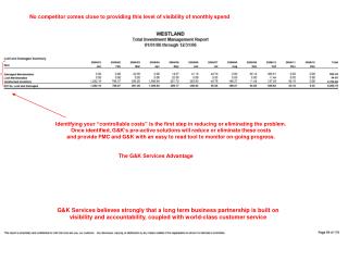 No competitor comes close to providing this level of visibility of monthly spend