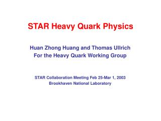 STAR Heavy Quark Physics