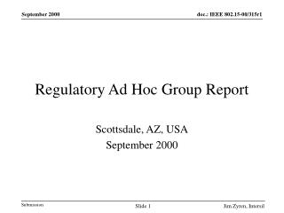 Regulatory Ad Hoc Group Report