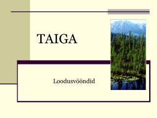 TAIGA