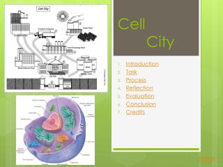 Cell City