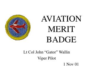 AVIATION MERIT BADGE