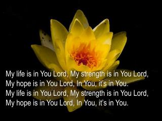 My life is in You Lord, My strength is in You Lord, My hope is in You Lord, In You, it’s in You.