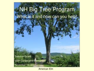 NH Big Tree Program