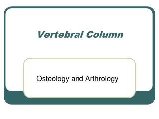 Vertebral Column