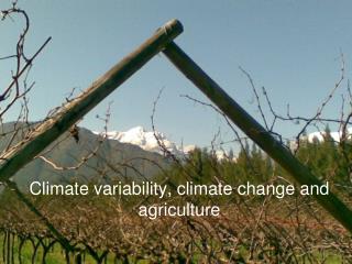 Climate variability, climate change and agriculture