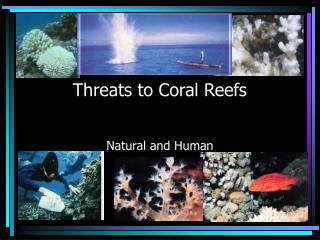 Threats to Coral Reefs