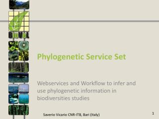 Phylogenetic Service Set