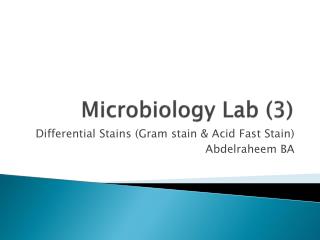 Microbiology Lab (3)