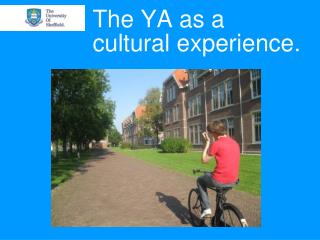 The YA as a cultural experience.