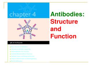 Antibodies: Structure and Function