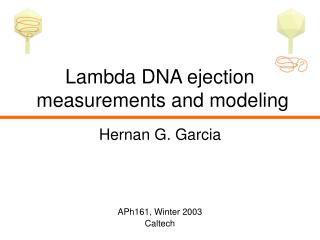 Lambda DNA ejection measurements and modeling