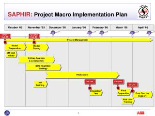 SAPHIR: Project Macro Implementation Plan