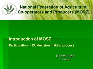 Introduction of MOSZ Participation in EU decision making process