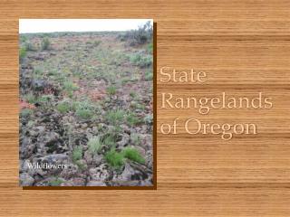 State Rangelands of Oregon