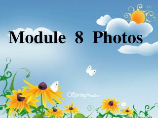 Module 8 Photos