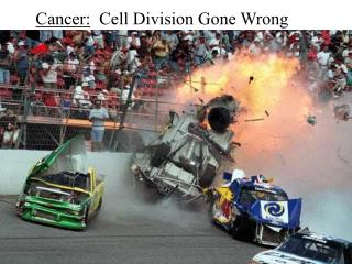 Cancer: Cell Division Gone Wrong