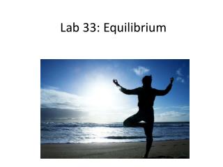 Lab 33: Equilibrium