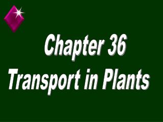 Chapter 36 Transport in Plants