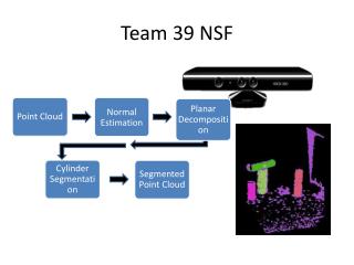 Team 39 NSF